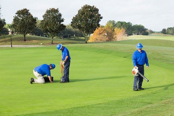 Kỹ thuật chăm sóc cỏ sân Golf đạt tiêu chuẩn 2025