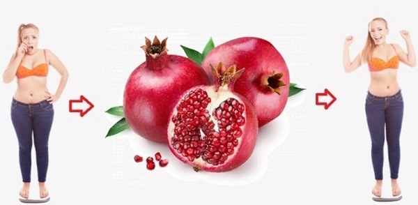 Lựu chứa nhiều chất xơ giúp bạn cảm thấy no lâu hơn, từ đó hạn chế cảm giác thèm ăn
