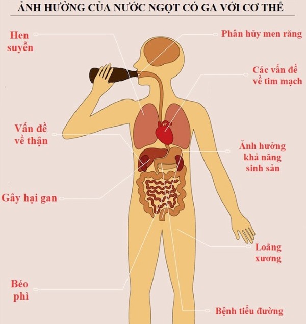 Ảnh hưởng của lượng calo trong nước ngọt đối với sức khỏe