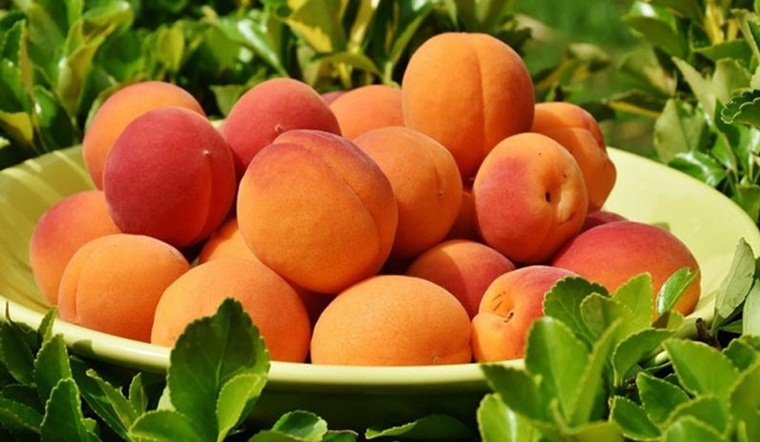 Dinh dưỡng và lợi ích của đào
