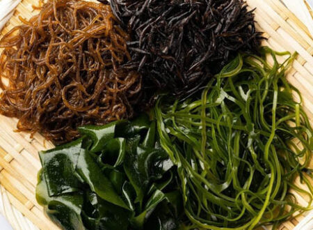 Rong biển bao nhiêu calo?