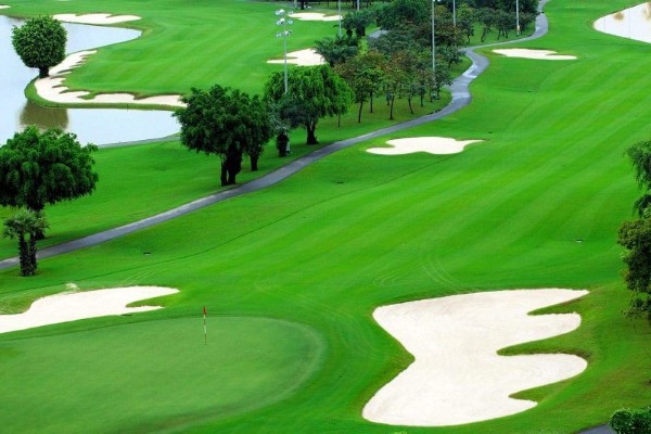 Loại cỏ sân golf chuẩn và đẹp nhất hiện nay
