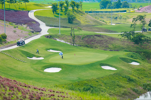 Sự kiện và giải đấu: sôi động cùng golf