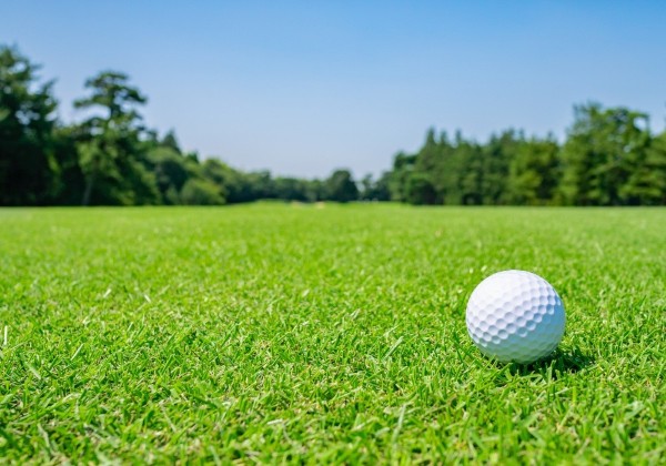 Top 4 loại cỏ sân golf phổ biến nhất