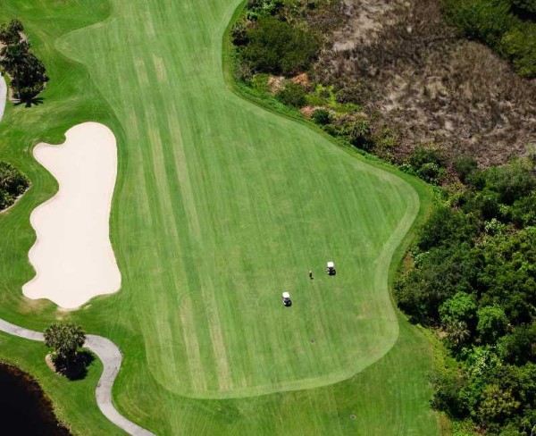 Các loại sân golf khác và sự kết hợp